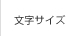 文字サイズ