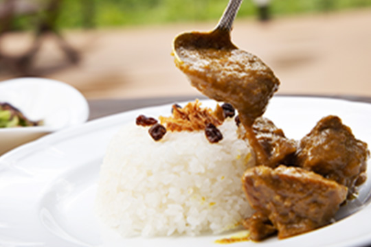 カレーの写真